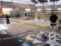 /album/foto-de-lavagem-de-tapete/foto-da-wash-clean-jpeg/